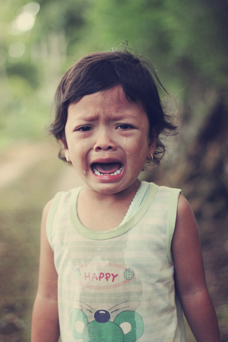 Explore why crying is unacceptable in passport photos. Understand how emotions can distort facial recognition and learn to maintain a neutral expression.